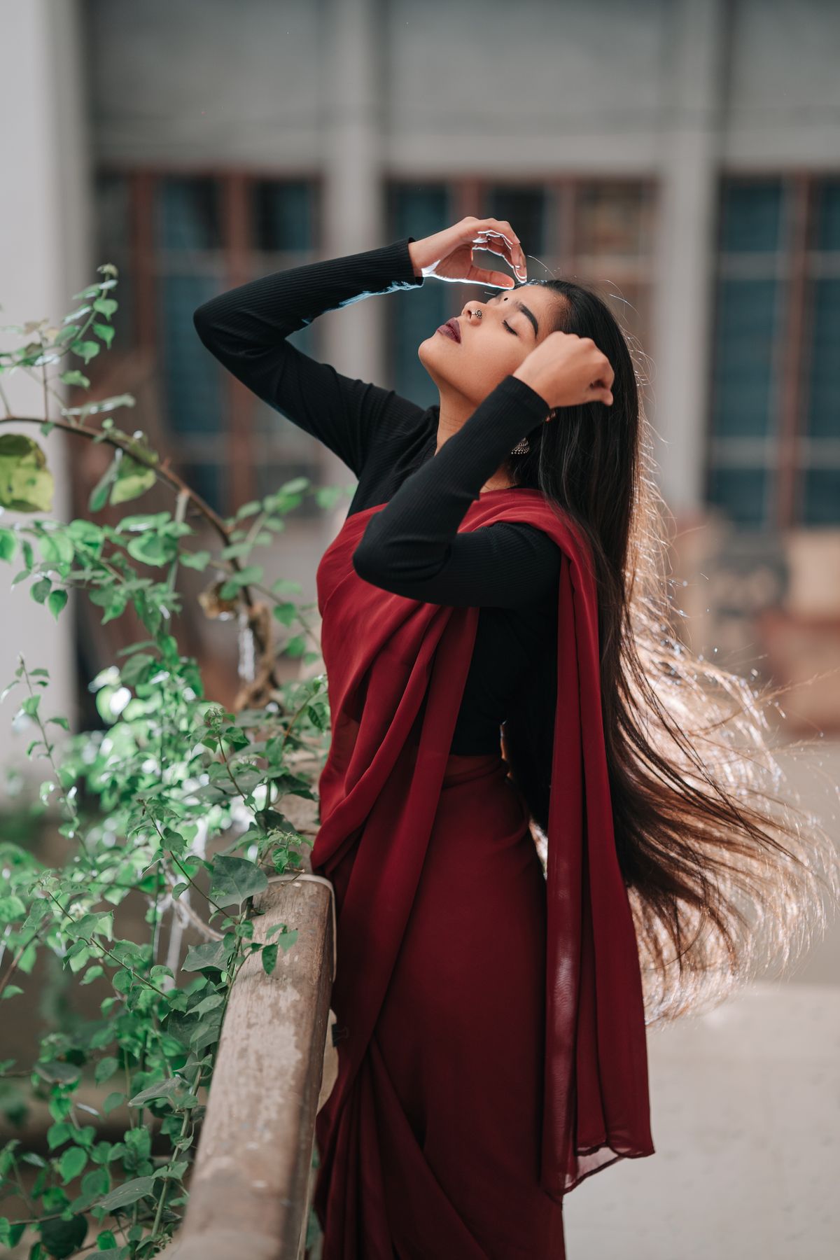Rangoli Georgette Saree - Maroon