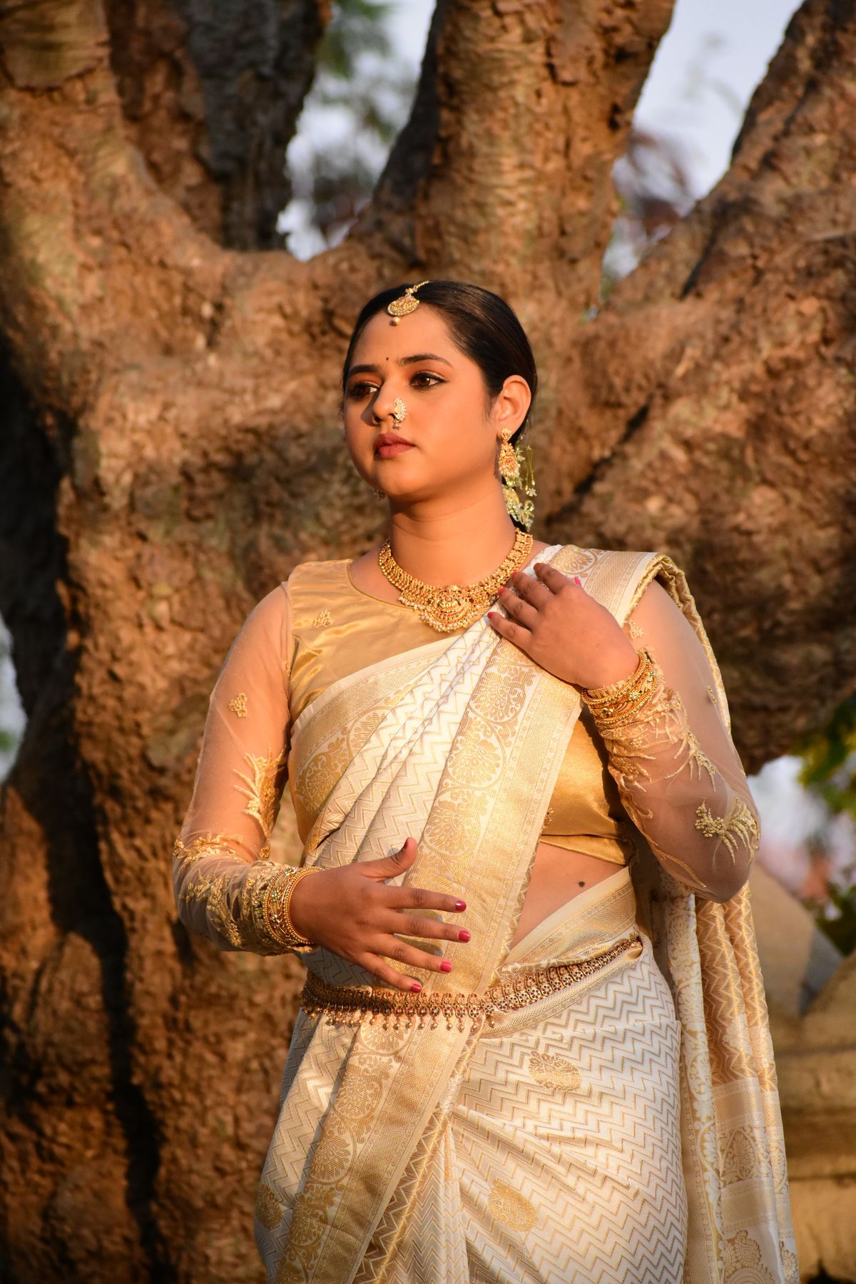 Sonali Katan Silk Saree - Golden